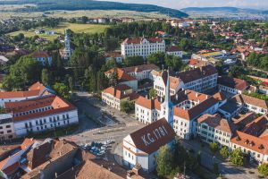 353654119 1241527313167478 1978088934732243585 N