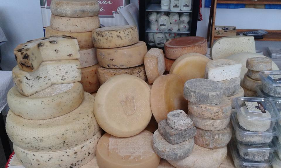 13319709 1604082243237866 7440699381453356173 n